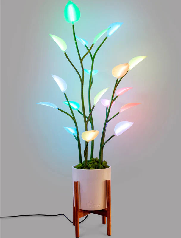 XL LED House Plant