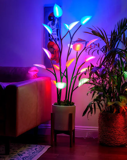 XL LED House Plant