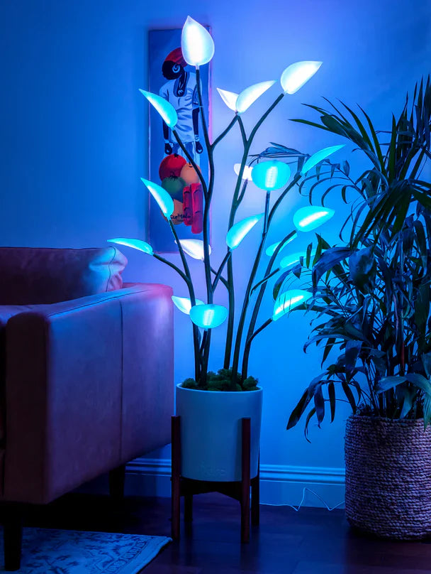 XL LED House Plant