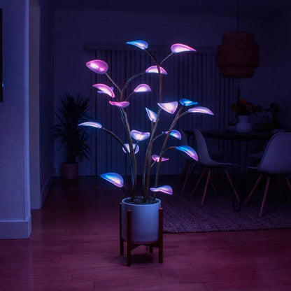 XL LED House Plant