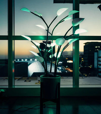 XL LED House Plant