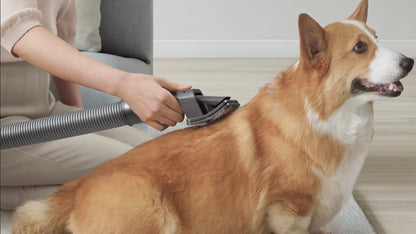 The Groomi - Pet Grooming Kit